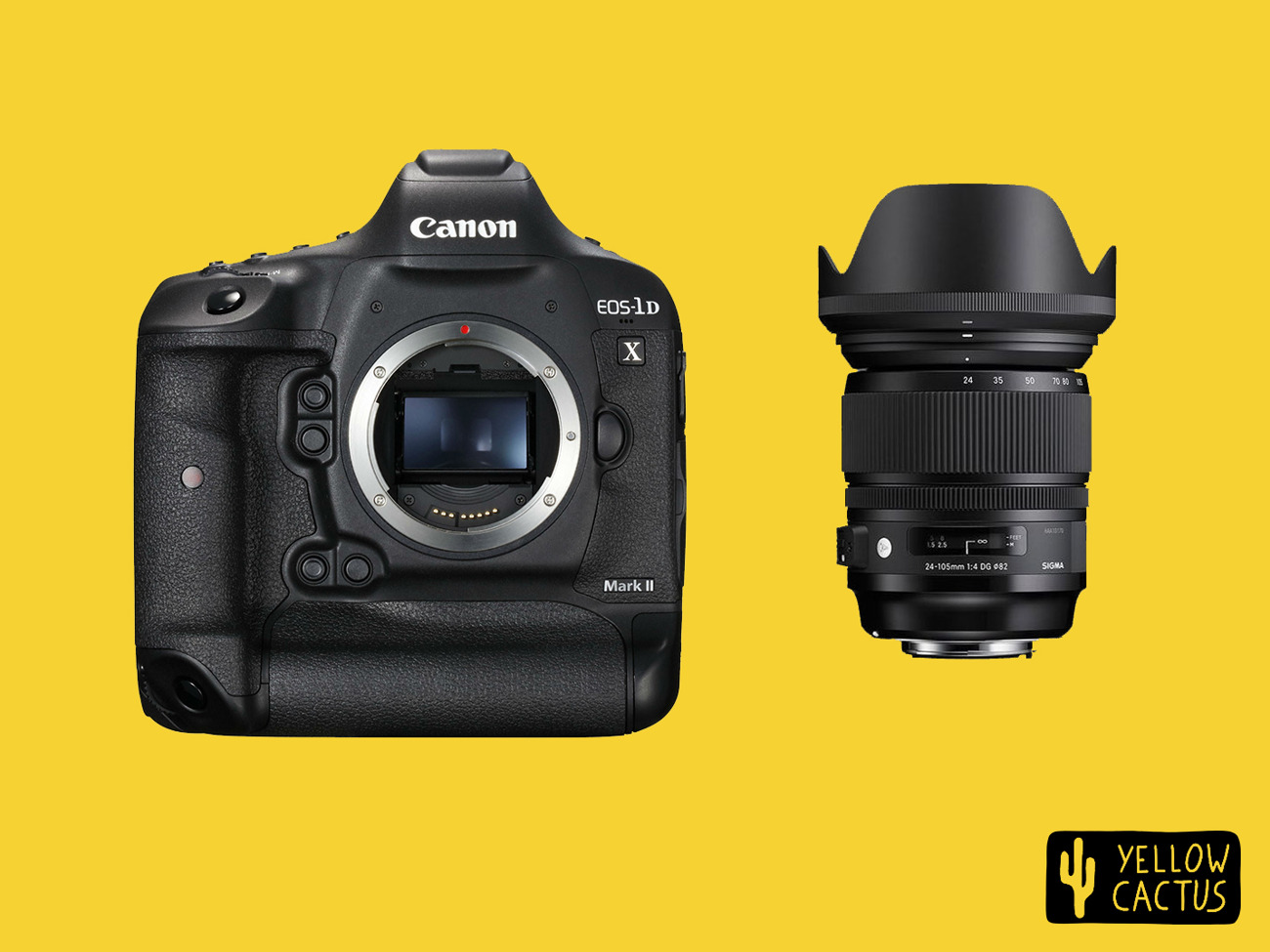 1dx mkii & sigma art 24-105 (full frame)