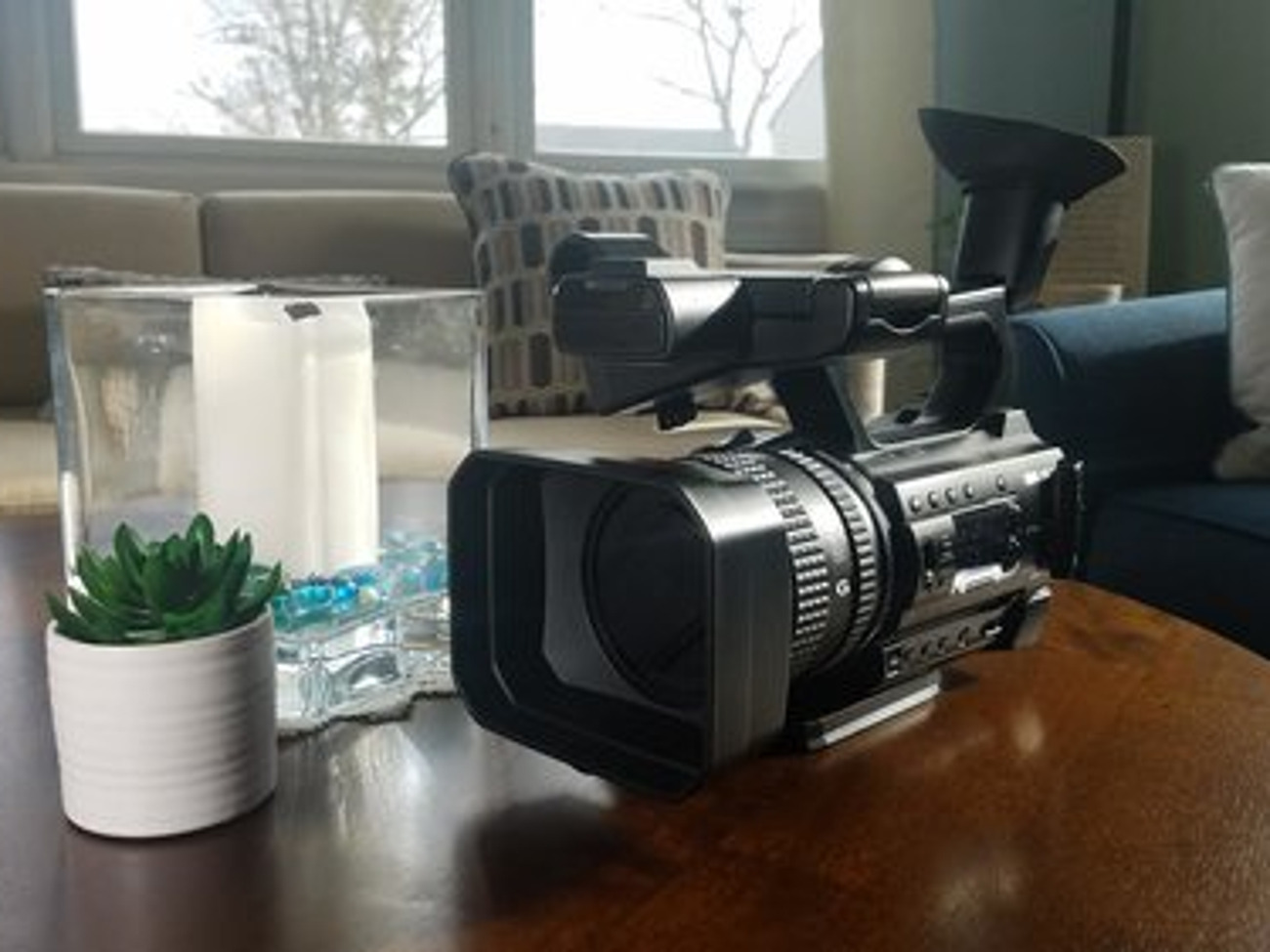 (2) sony hxr-nx100 (full camera setup available)