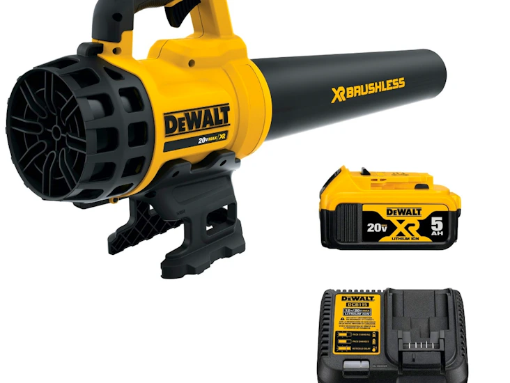 20v max* lithium ion xr® brushless handheld leaf blower