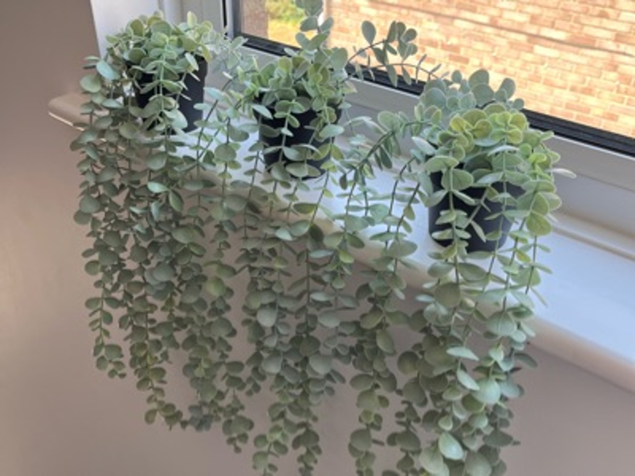 3x ikea fejka artificial eucalyptus plants