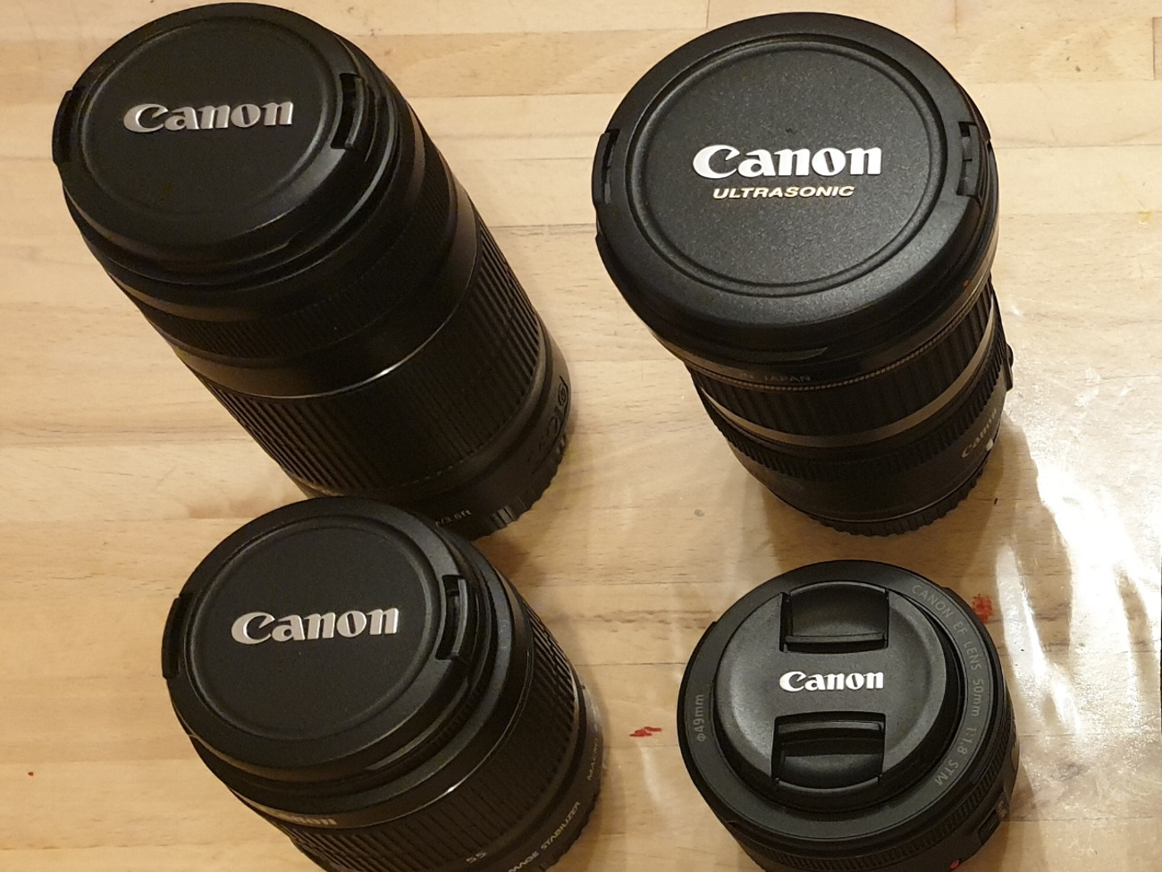 4 canon lenses: 10-22mm; 55-250mm; 18-55mm; 50mm.