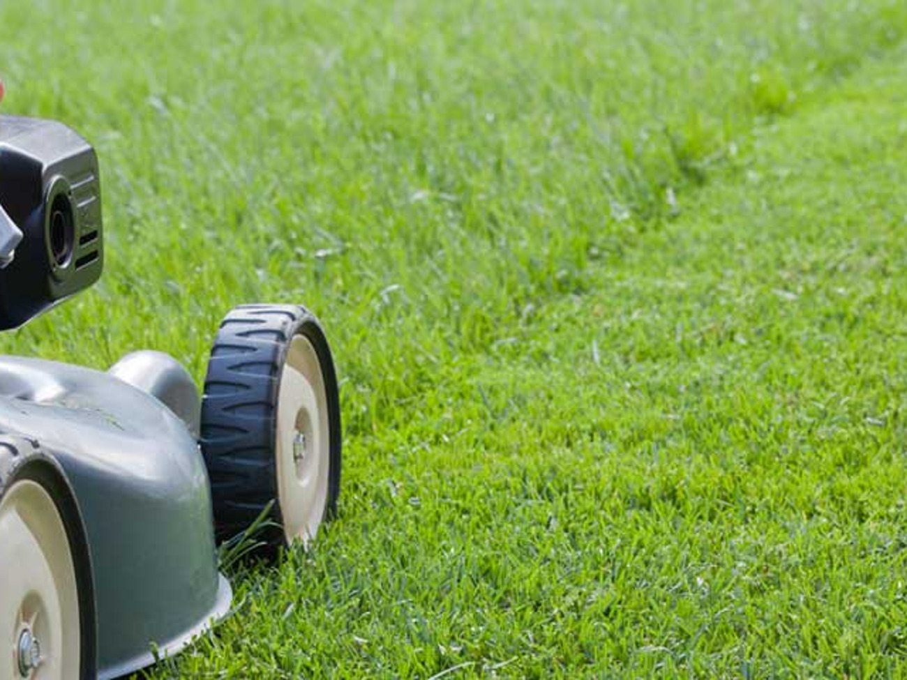 4 stroke petrol lawnmower