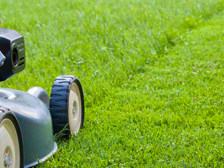 4 stroke petrol lawnmower