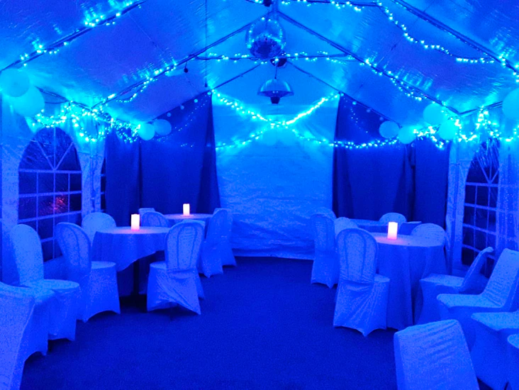 4 x 8 cozy marquee party gazebo