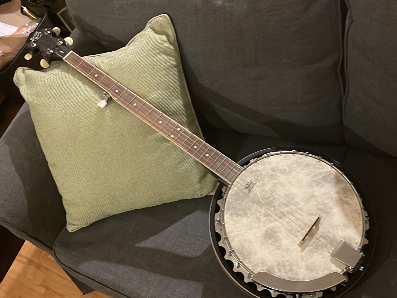 5 string barnes and mullins banjo