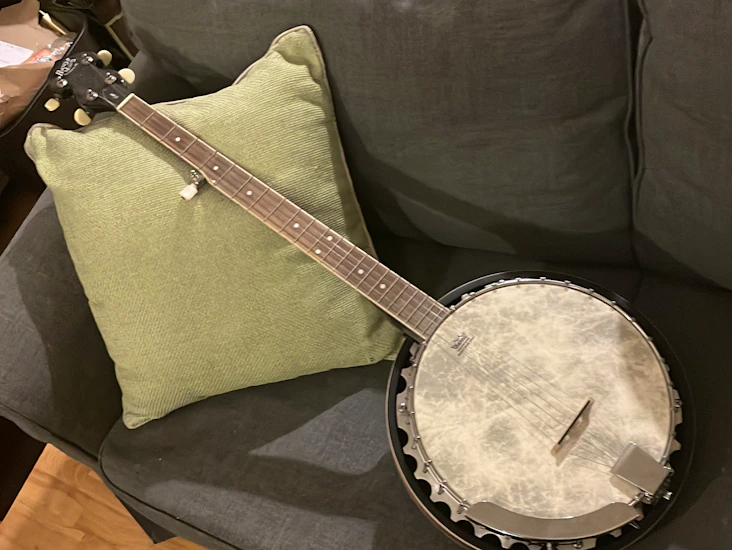 5 string barnes and mullins banjo