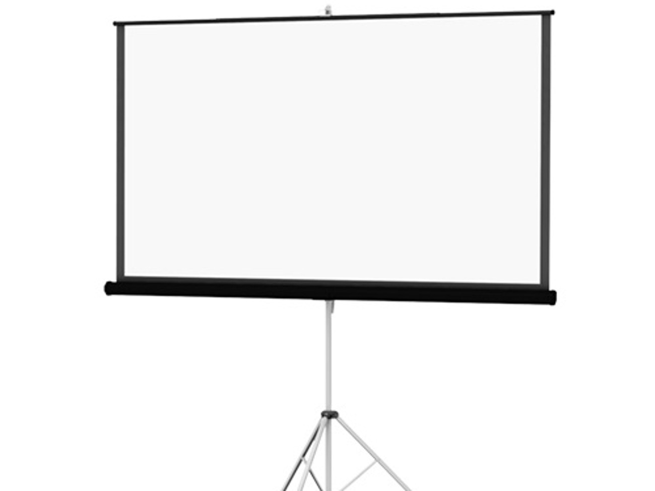 5ft tripod screen