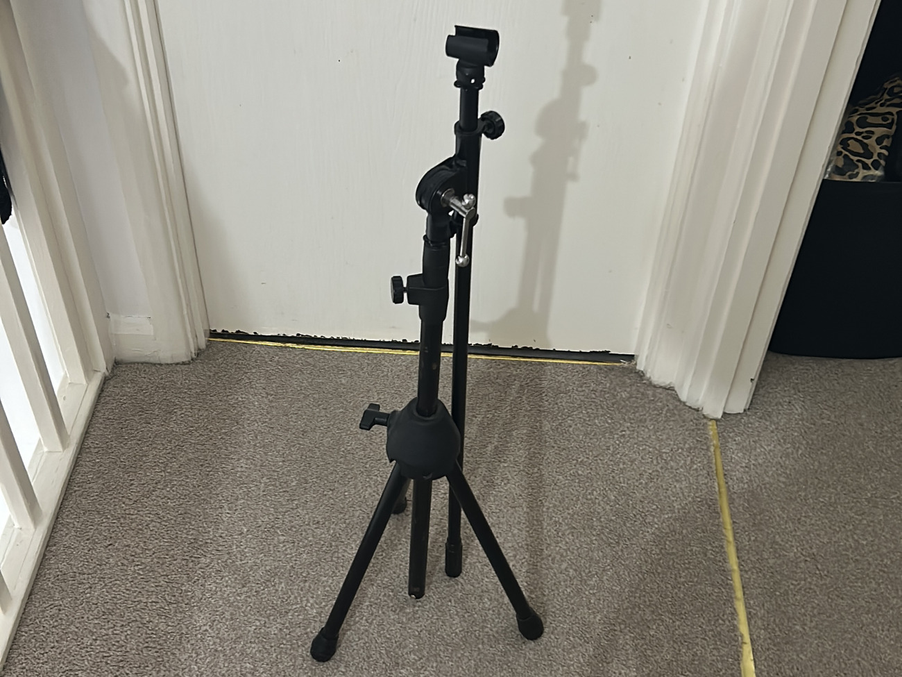 5m mic stand
