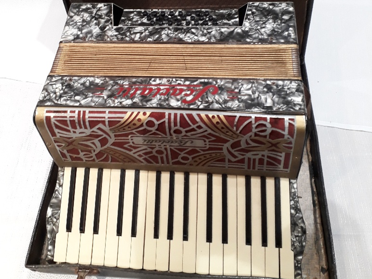 Accordian, squeeze box
