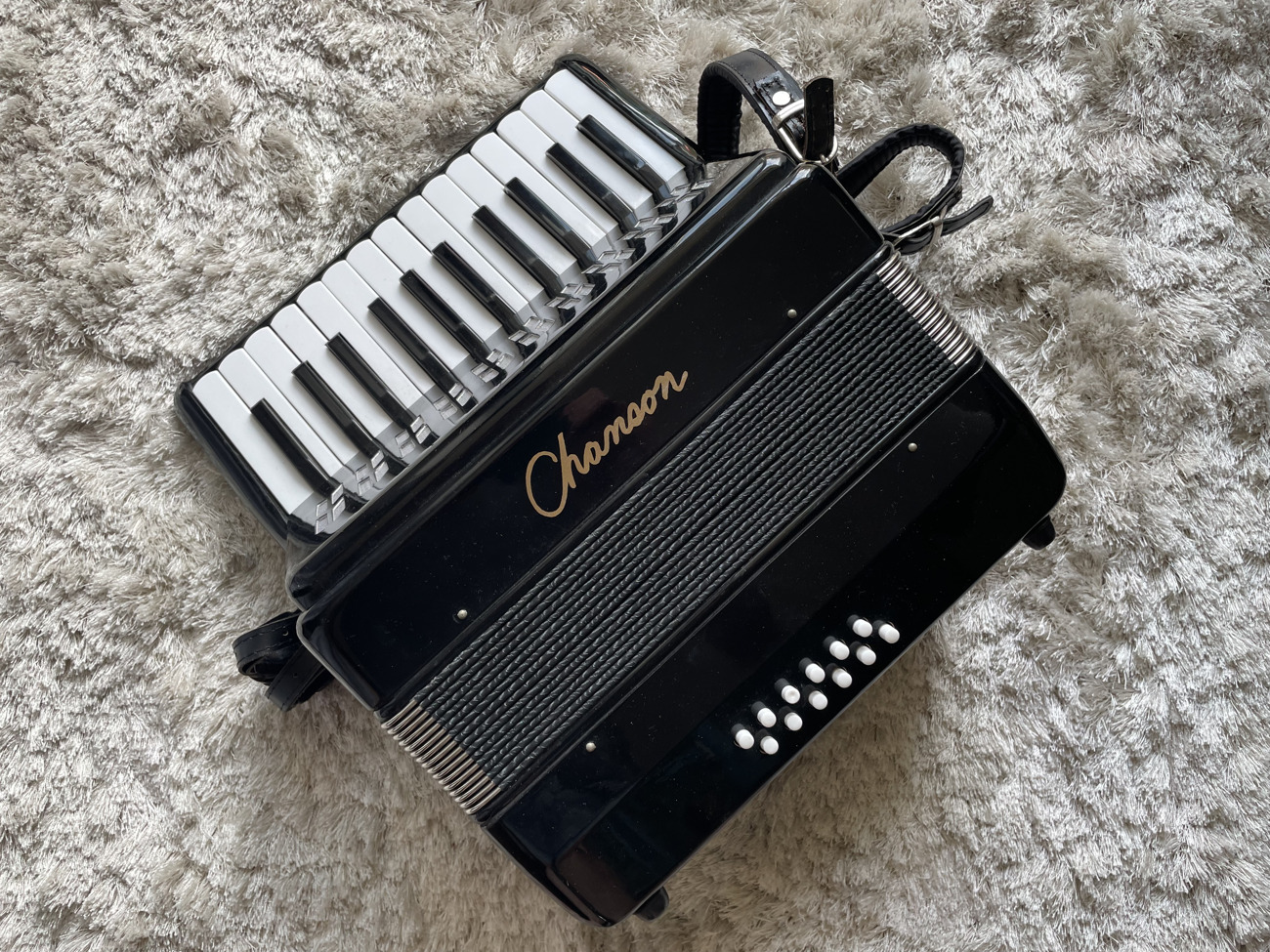 Accordion - chanson 12 bass accordion