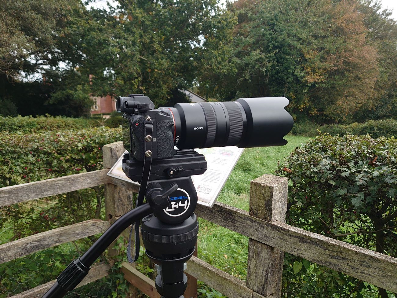 Acebil ch4 fluid head and tripod for video and film