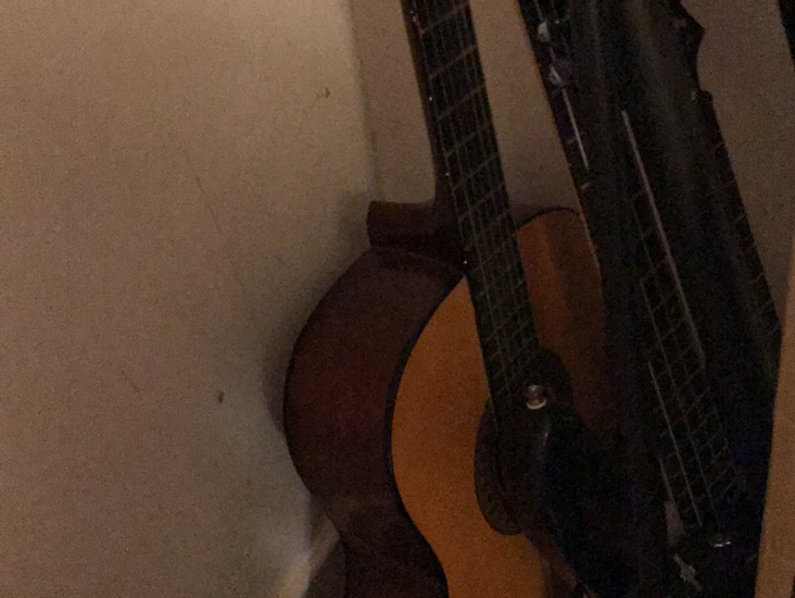 Acoustic guitar