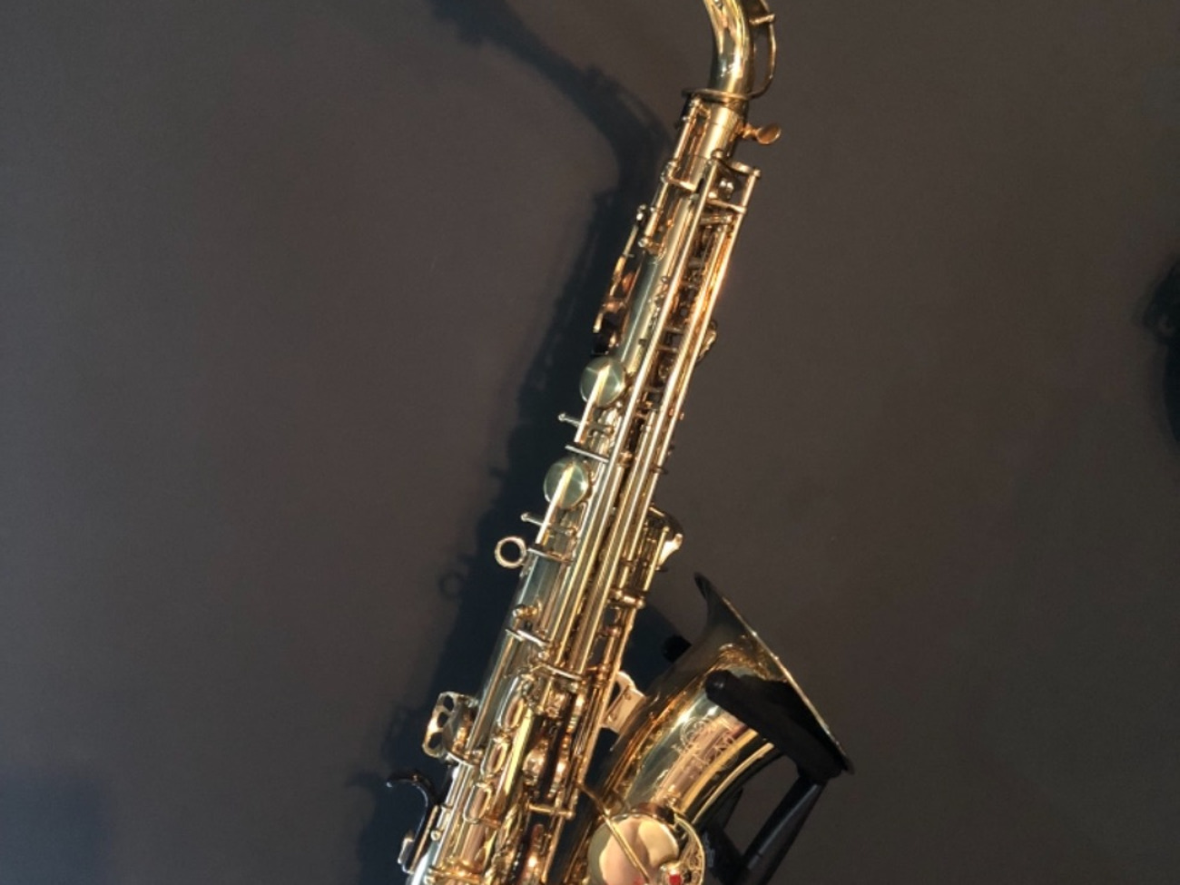 Alto saxaphone gold ak