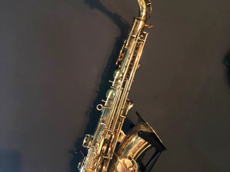 Alto saxaphone gold ak