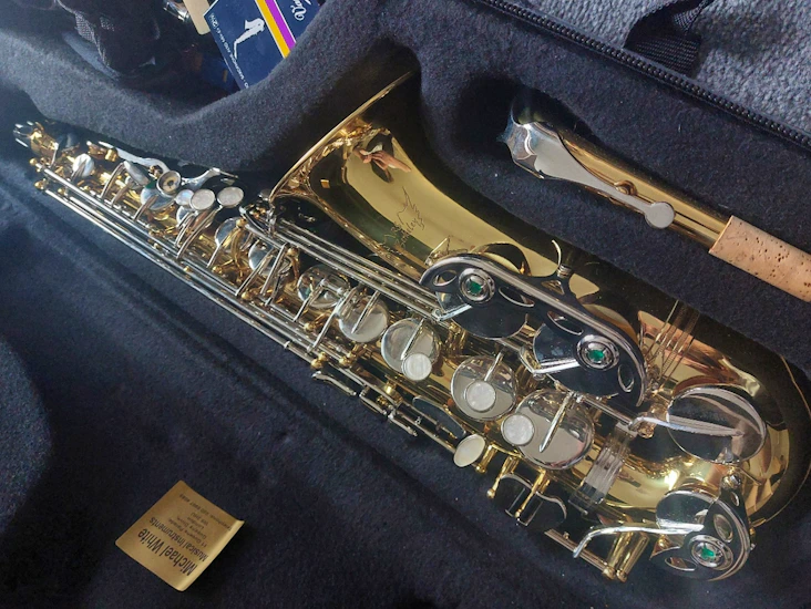 Alto saxophone (rs berkeley)