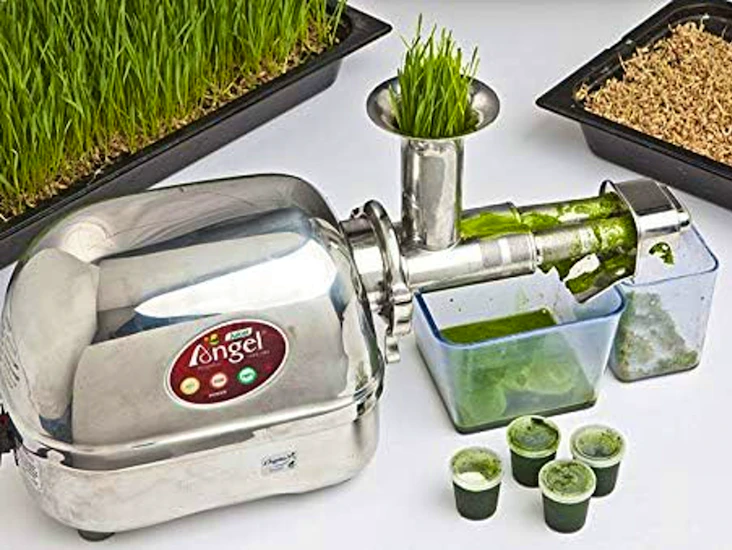 Angel stainless steel juicer 5500