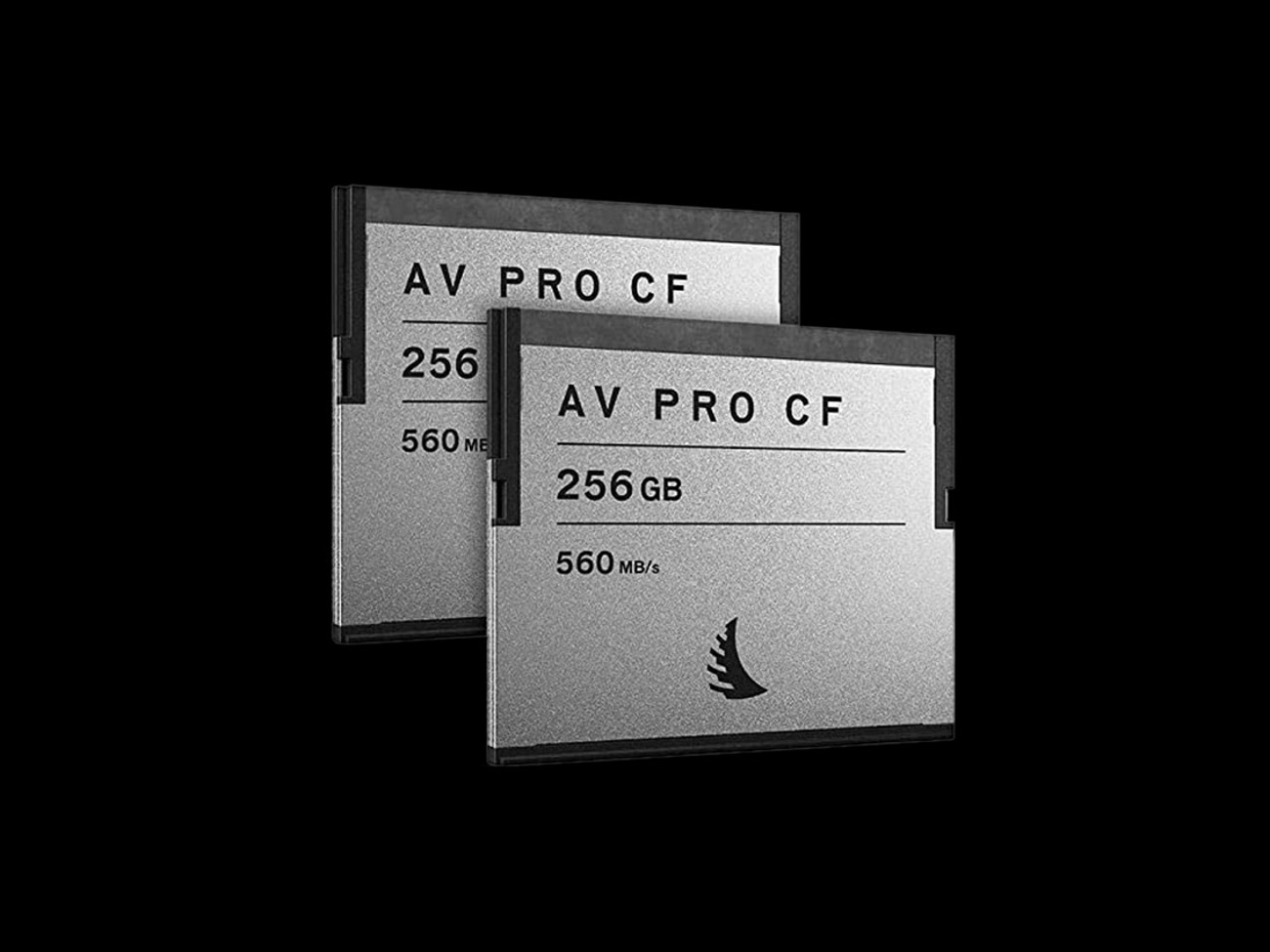 Anglebird av pro 256gb cf 2.0 card + card reader
