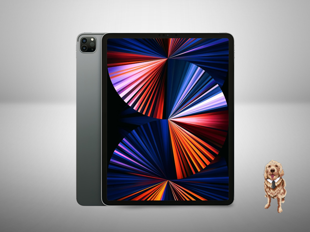 iPad Pro 本体 12.9インチ128GB Apple Pencil付き Amazon.com : Apple iPad Pro (12.9-inch, Wi-Fi + Cellular