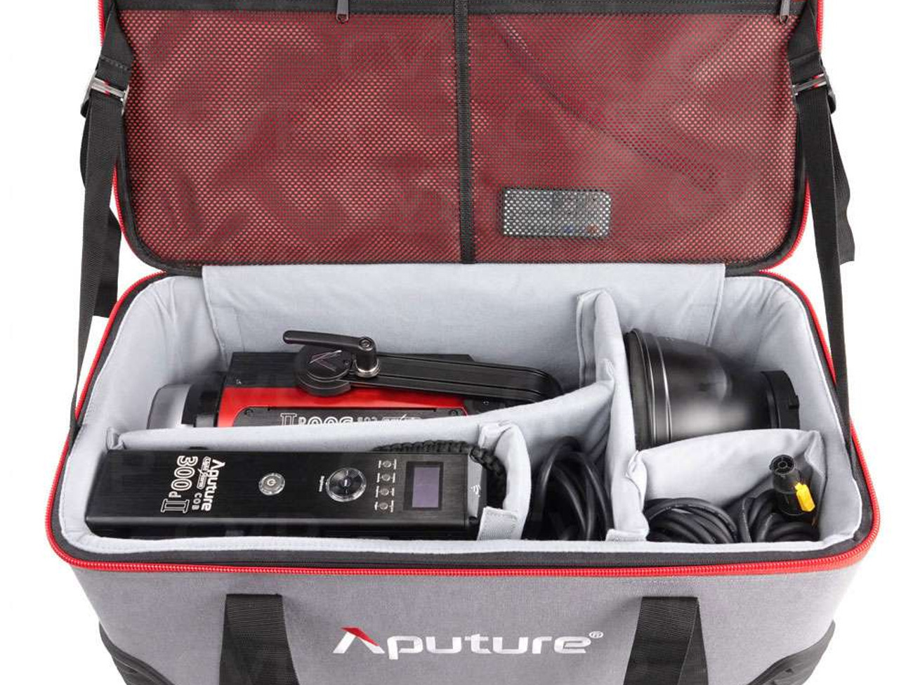 Aputure 300d ii led + stand + sand bag