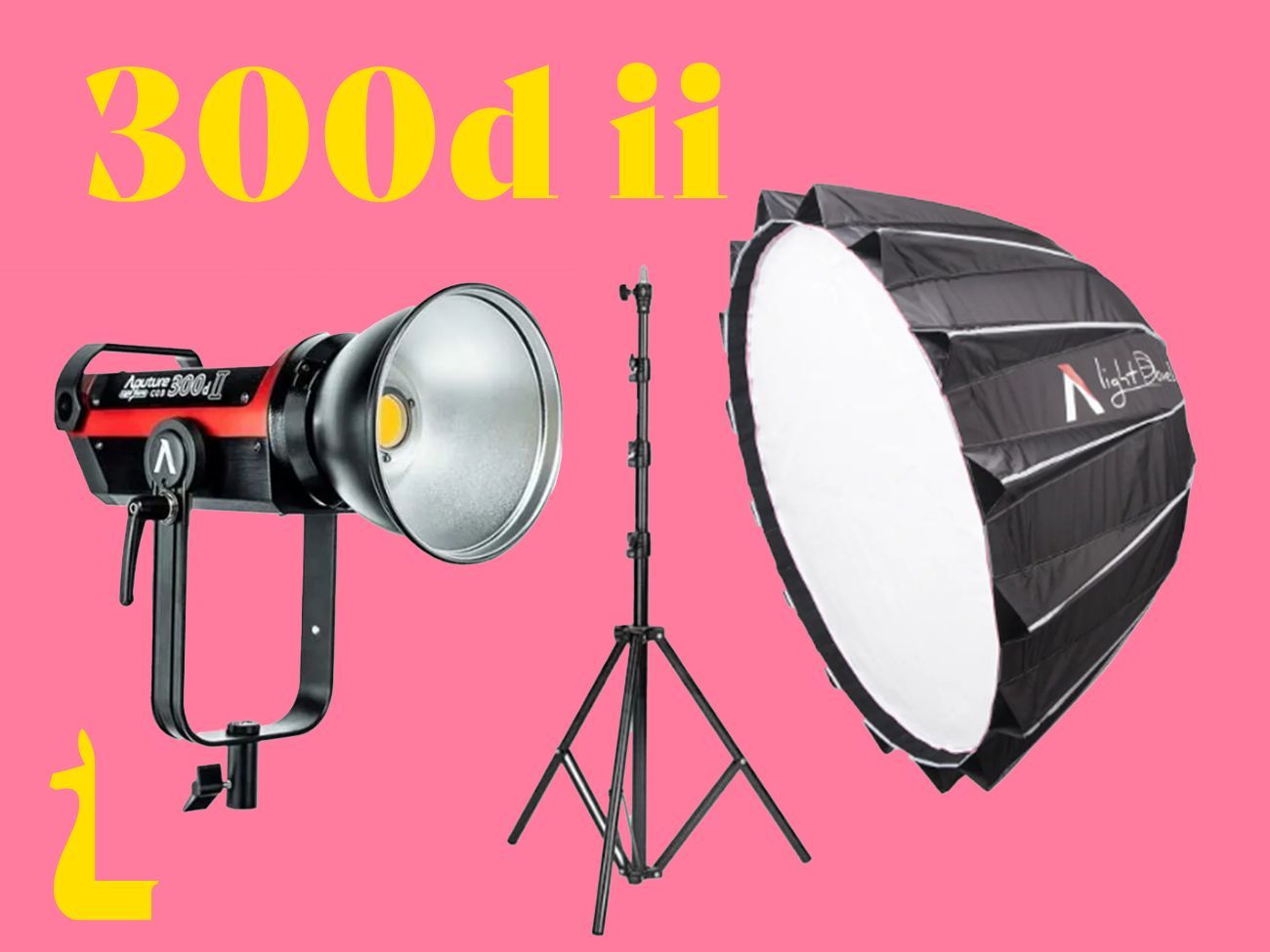 Aputure 300dii + light dome & light stand bundle