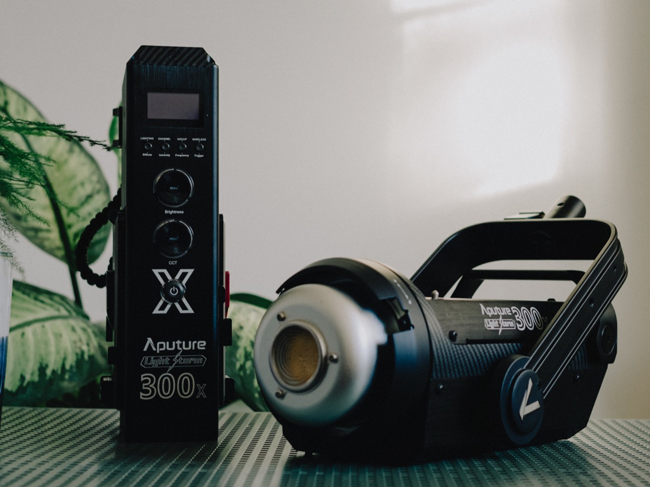 Aputure 300x + softbox