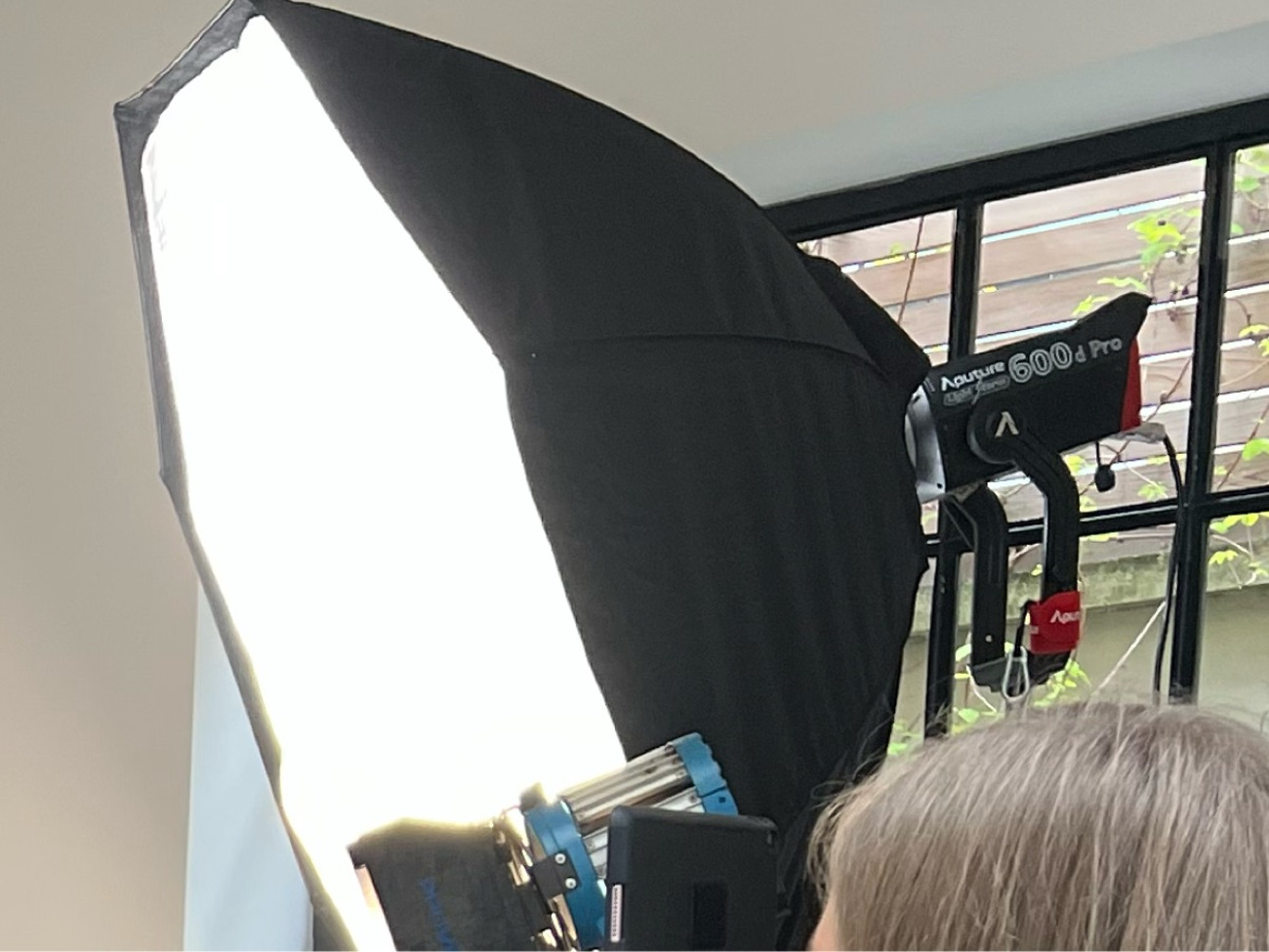 Aputure 600d pro 