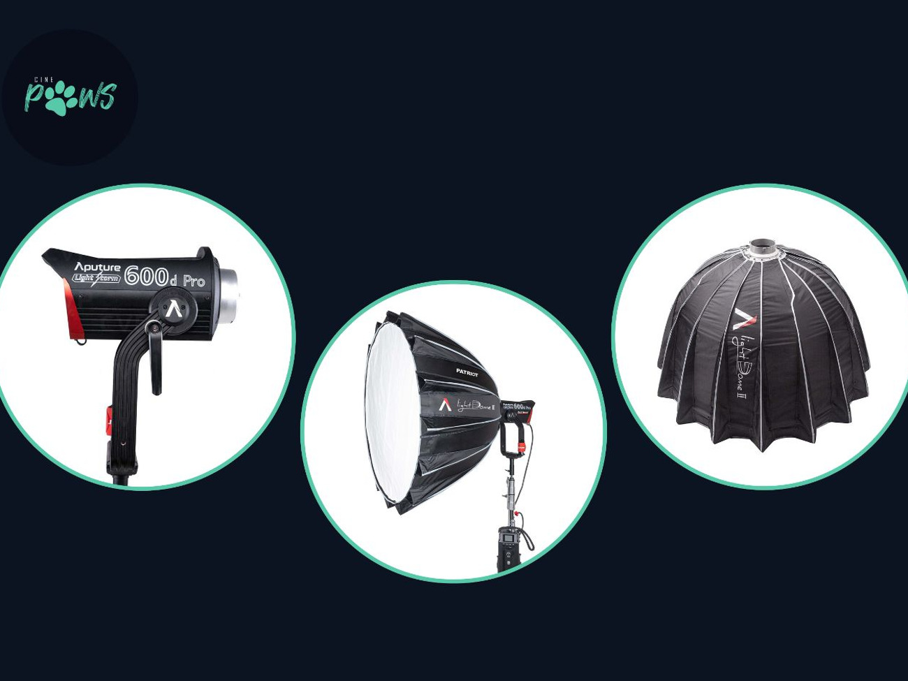 Aputure ls 600d pro (v mount) + lightdome ii [x2 available]