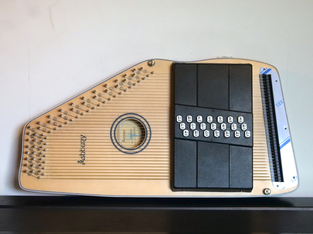 Ashbury 21 bar electroacoustic autoharp