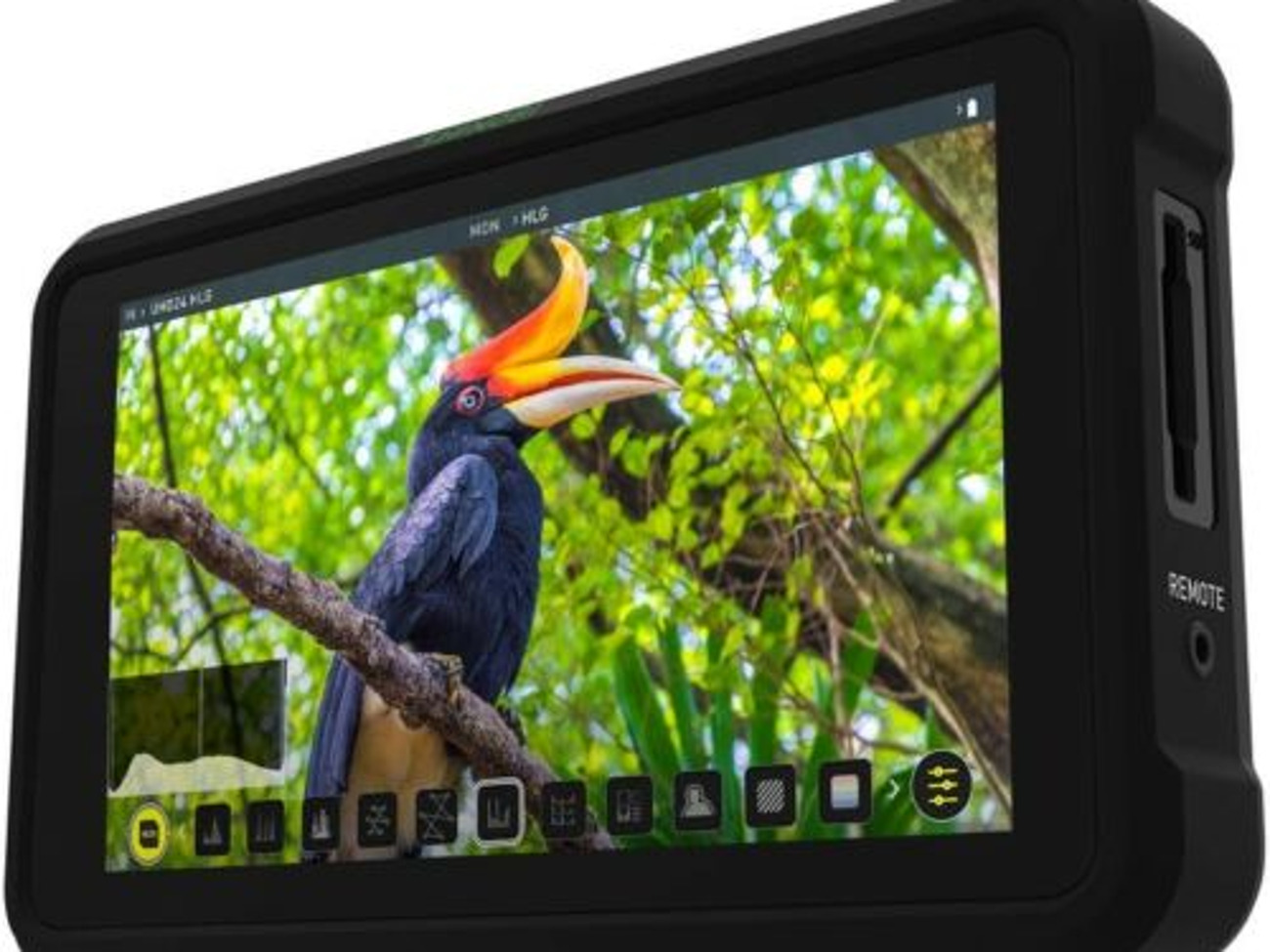 Atomos shinobi 5.2" in hdr photo & video monito