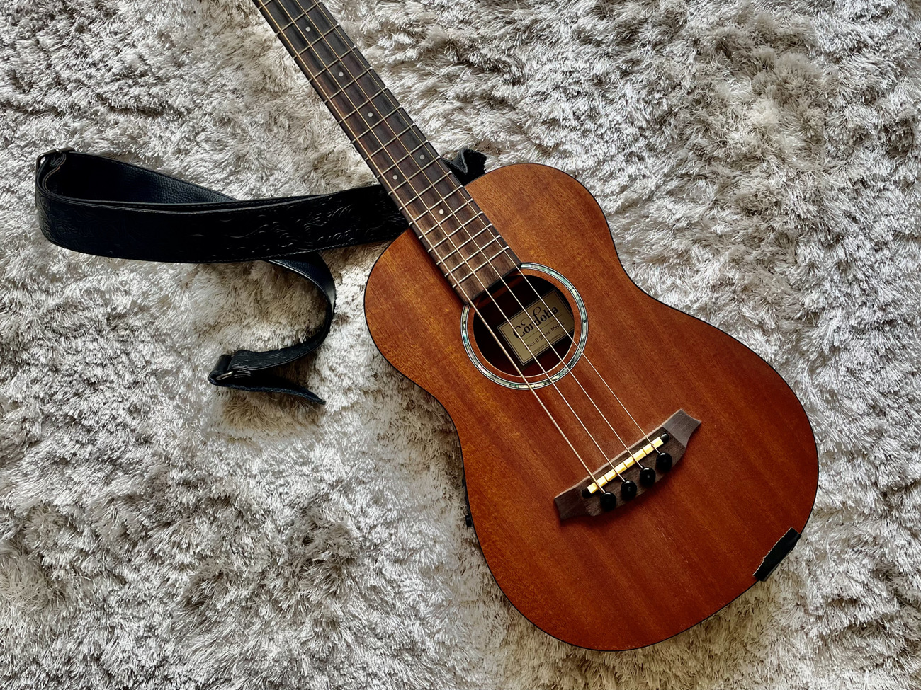 Bass guitar - mini electro-acoustic bass
