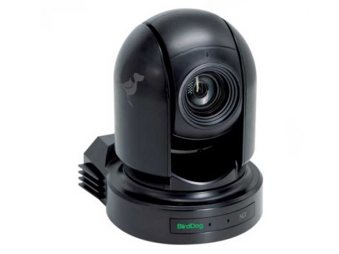 Rent BirdDog Eyes P200 1080p Full NDI PTZ Camera from David S, The