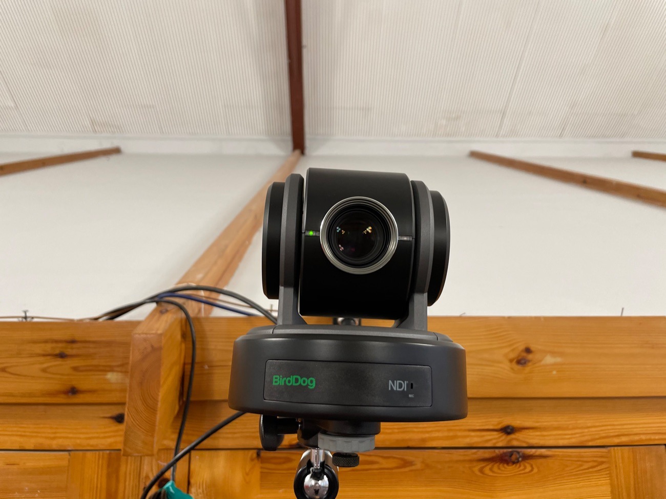 Birddog p100 full ndi ptz camera