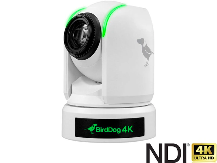 Birddog p4k white ptz 4k camera ndi sdi hdmi