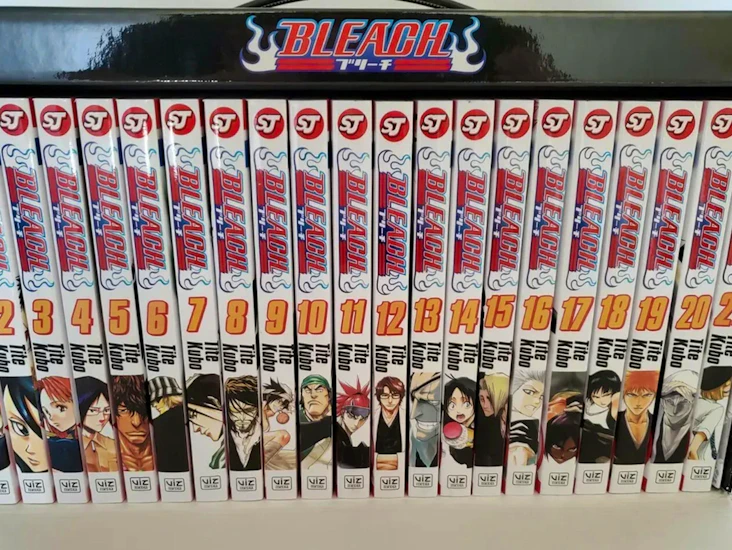 Bleach manga volume (1 - 21)