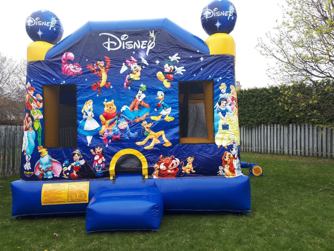 Bouncy castle rentals