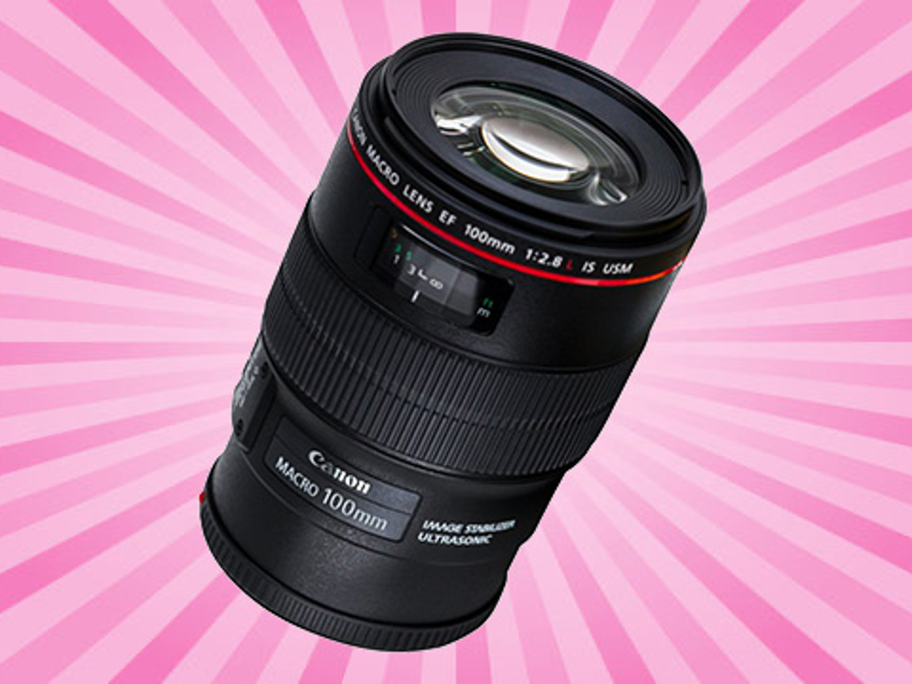 Canon 100mm f2.8 l macro - ef mount