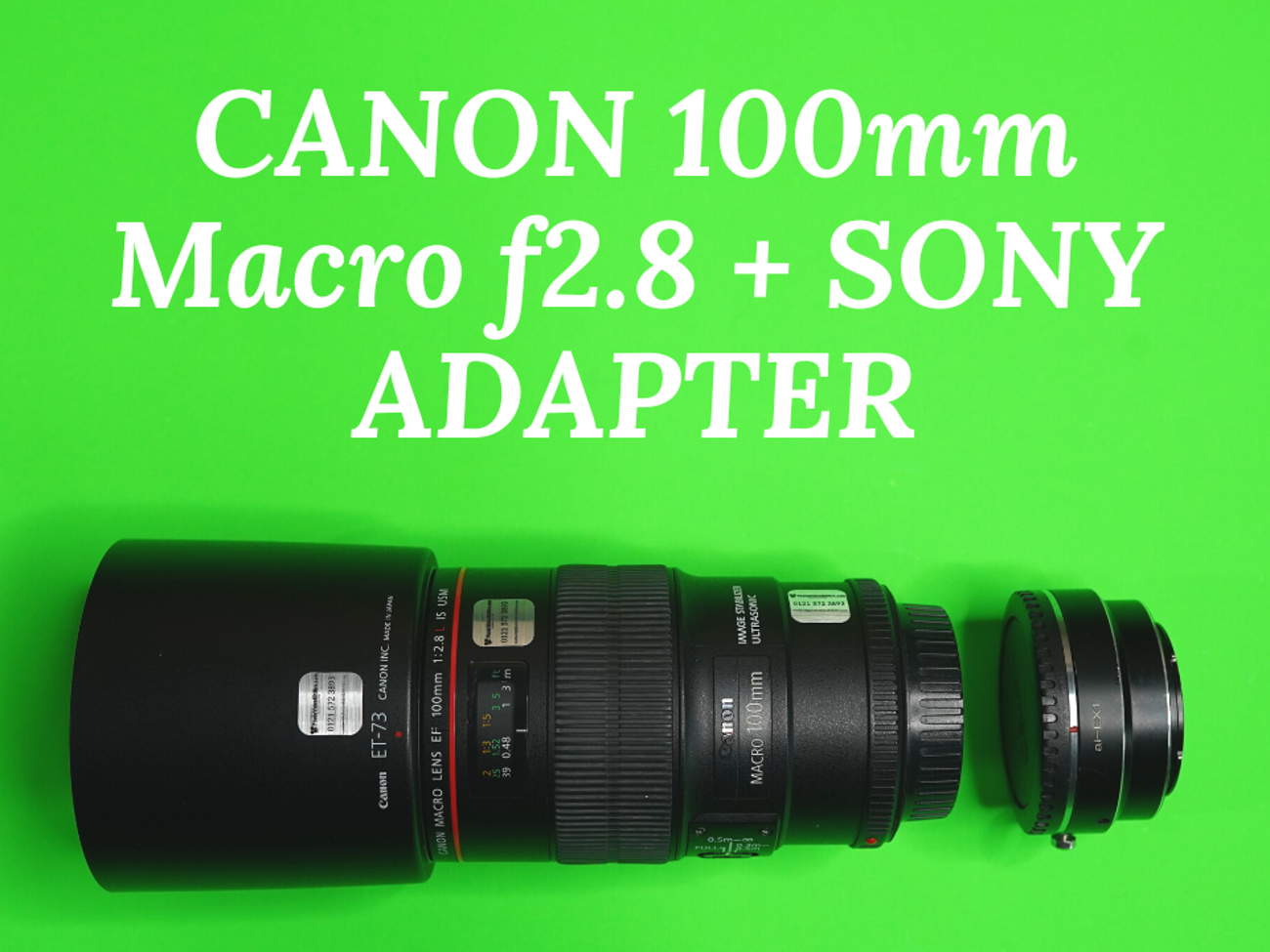Canon 100mm f2.8 macro lens + sony e-mount adapter