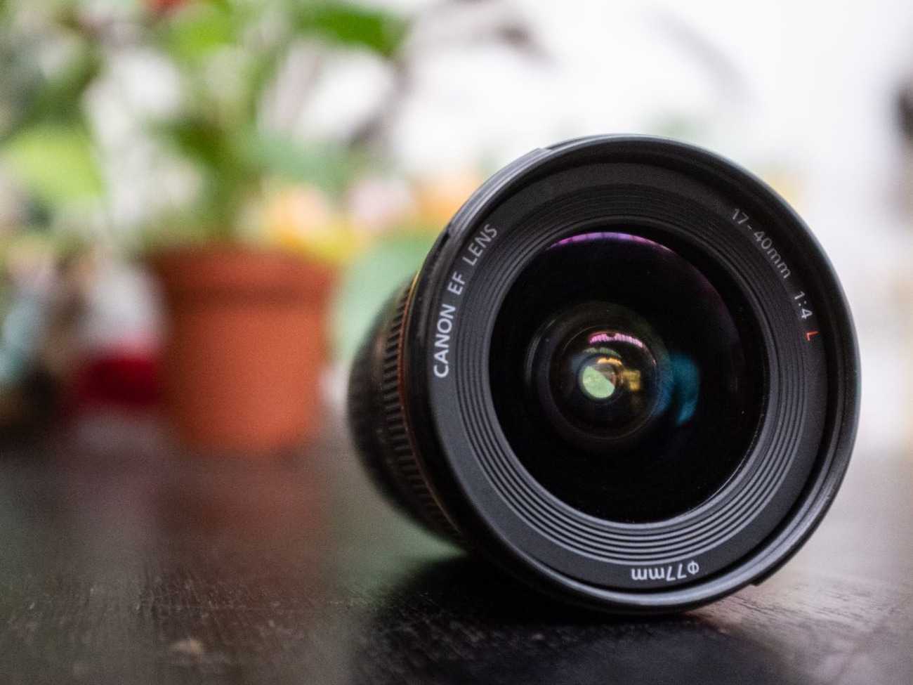 Canon 17-40mm f/4 l glass