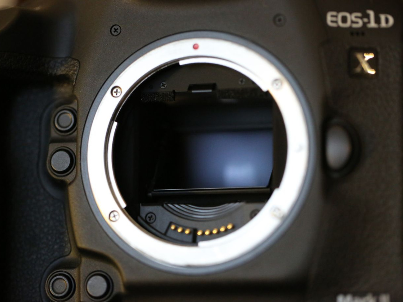 Canon 1dx mark 2 camera body memory cards extra battery