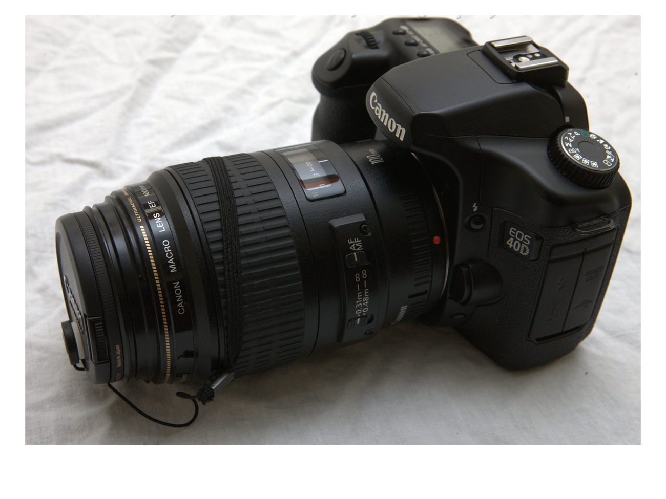 Canon 40d (body only)