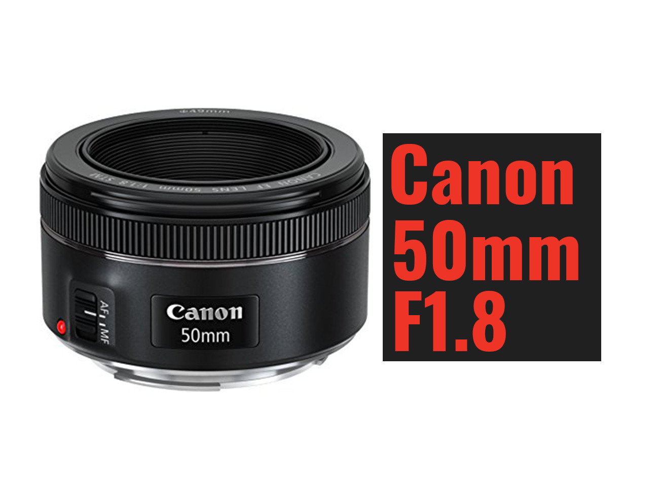 Canon 50mm f/1.8 stm prime lens