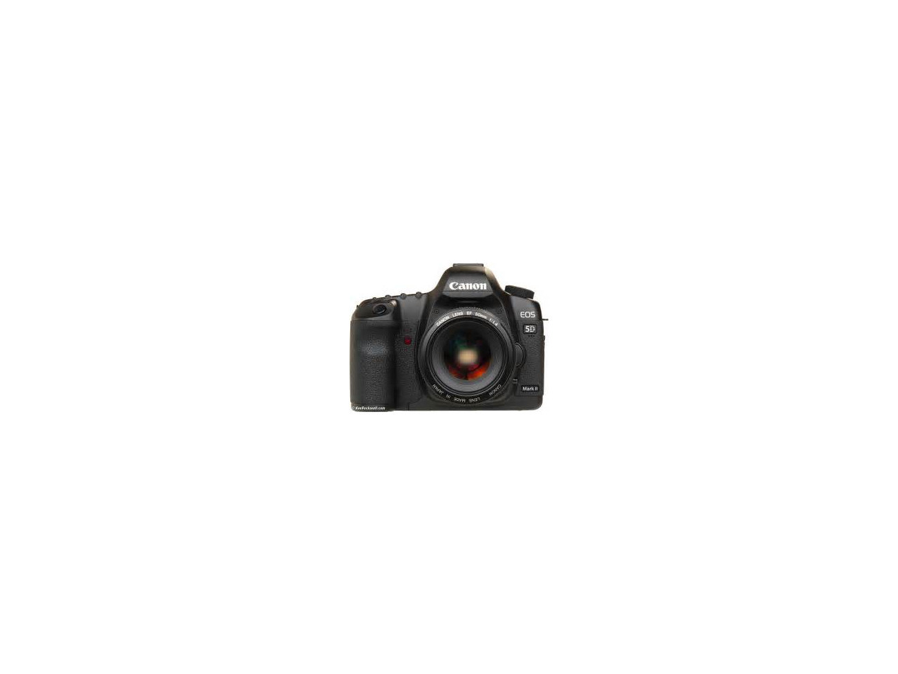 Canon 5d 