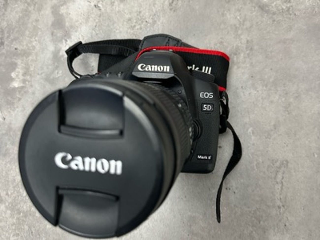 Canon 5d mark ii (with 24-105mm f/4 l is usm lens)