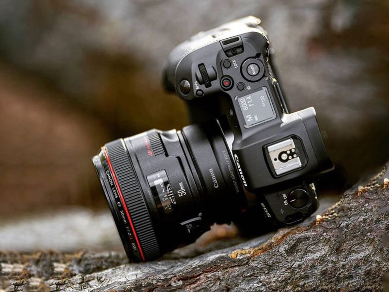 Canon 5d mk iv - 50mm f1.2