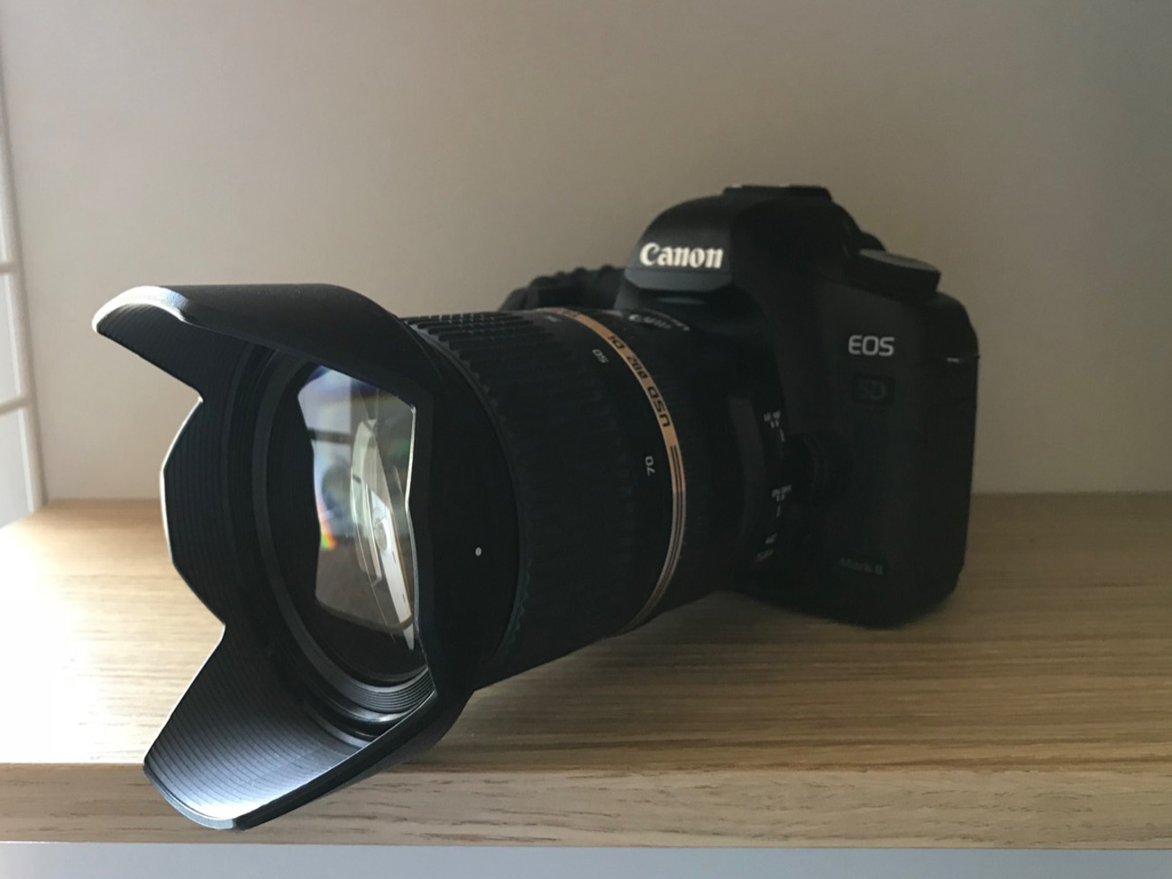 Canon 5d mkii + tamron 24-70mm f/2.8 lens.
