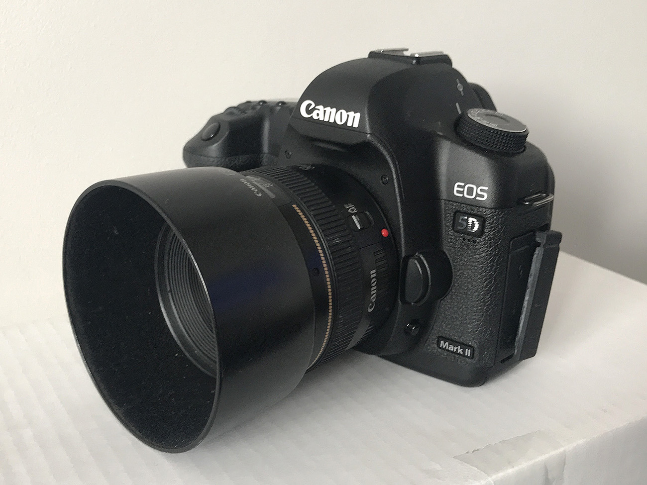 Canon 5d mkii body