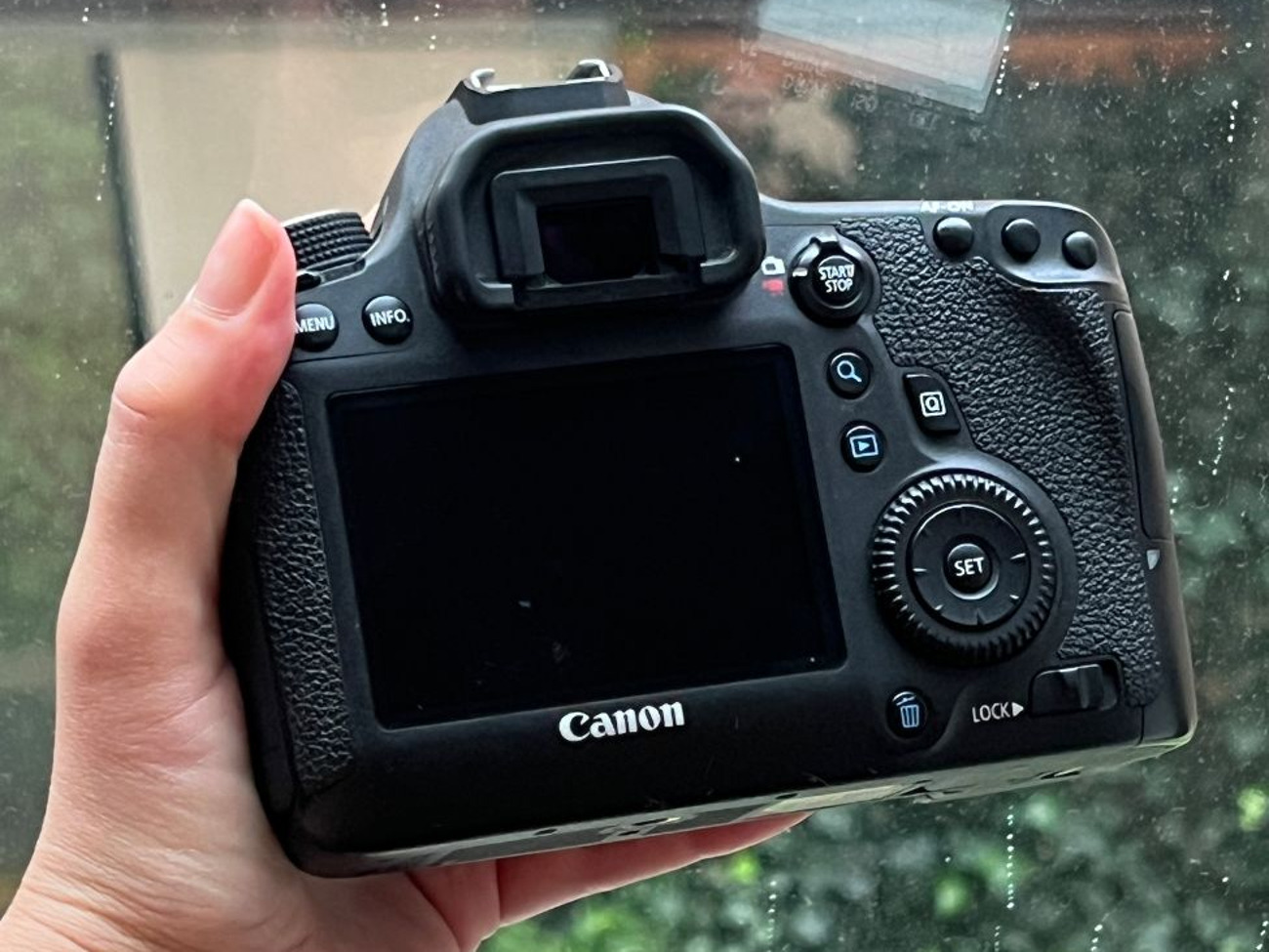Canon 6d body only (can be rented with any of my lenses)