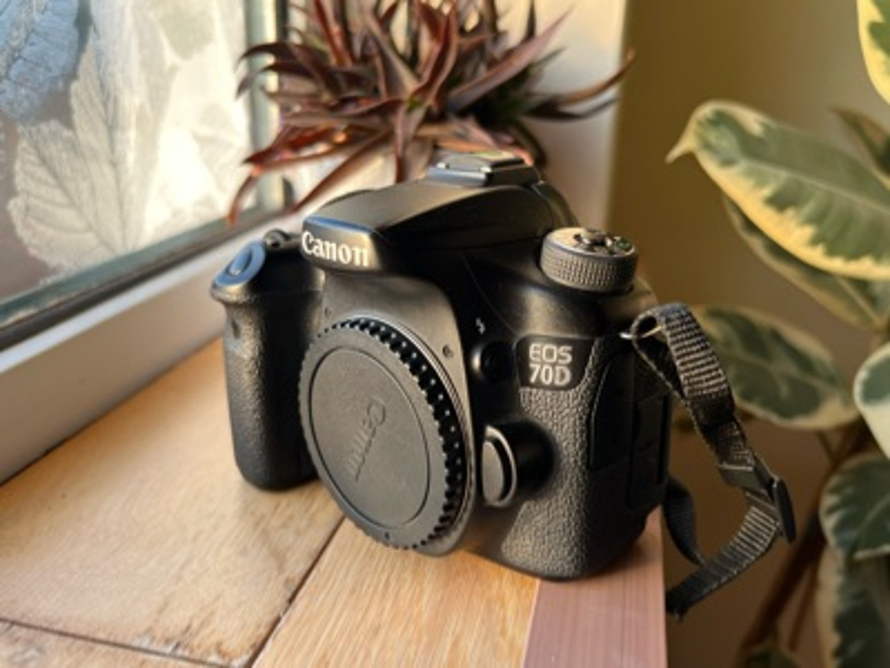 Canon 70d eos dslr camera