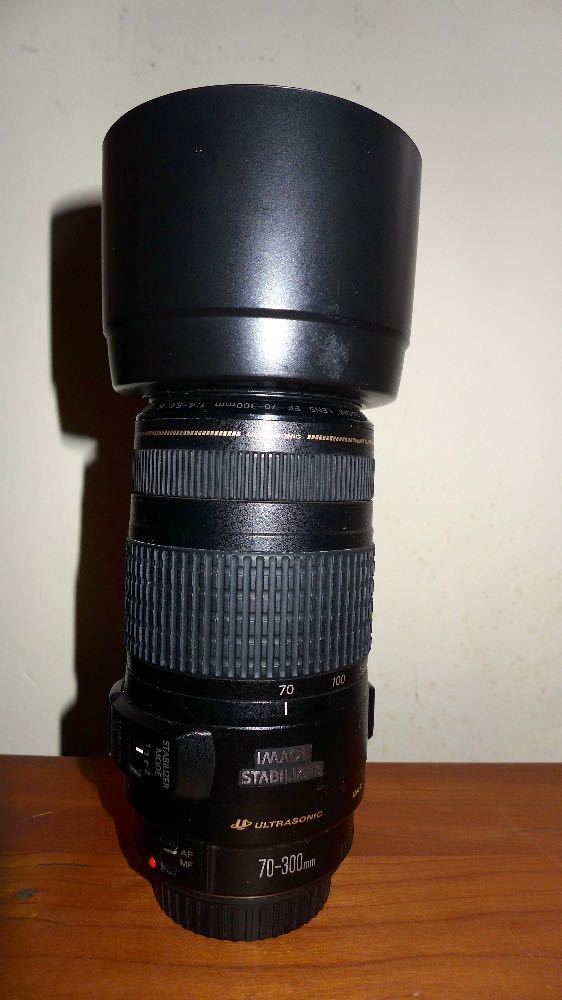 Canon 70-300mm zoom lens 