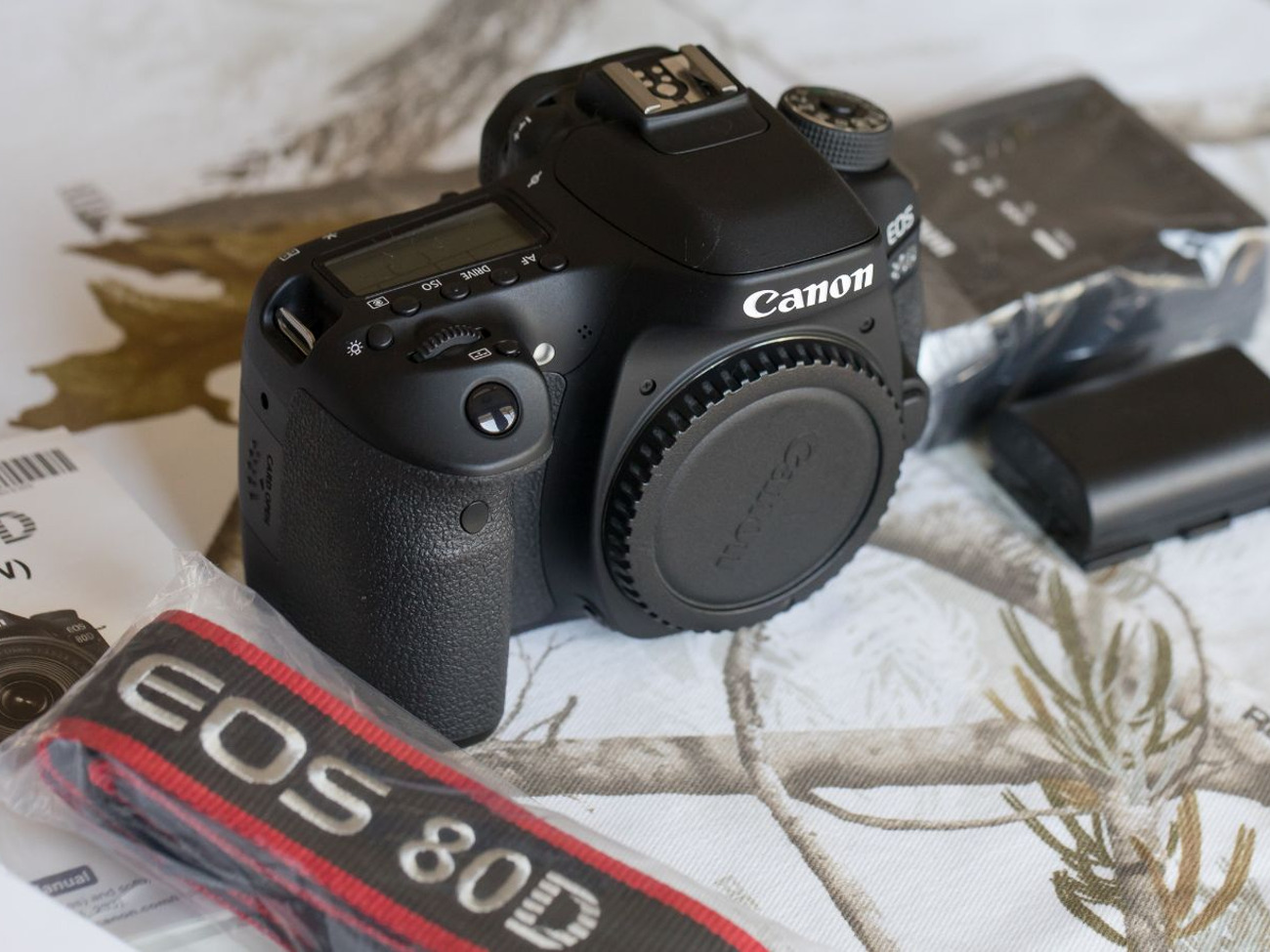 Canon 80d + 2 batteries + 18-55 lens